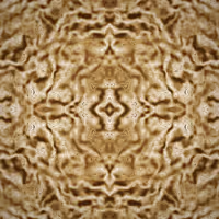 Flowsigils