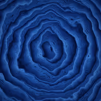 334