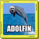 Liquid Fun: BlueChip Memes