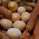 Bitcoin Base Eggs by Aliona Poesy