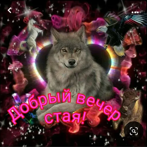 WOLF1 #17