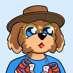 23