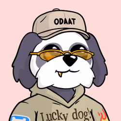 6828