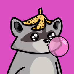Raccools #2226