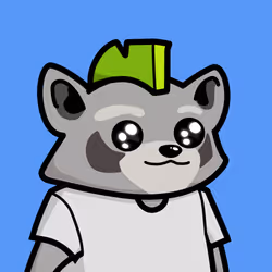 Raccools #3041