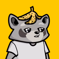 Raccools #2377