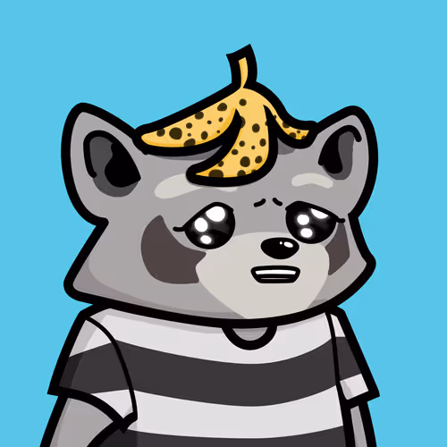 Raccools