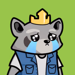 Raccools #3389