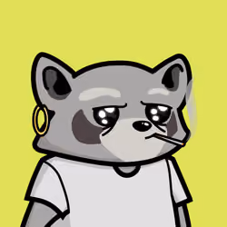 Raccools #3365
