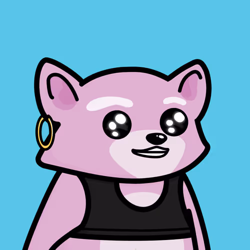 Raccools #4145
