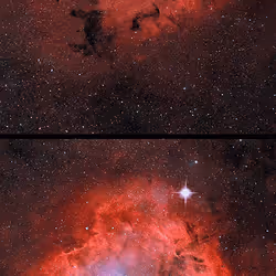 cosmos #265