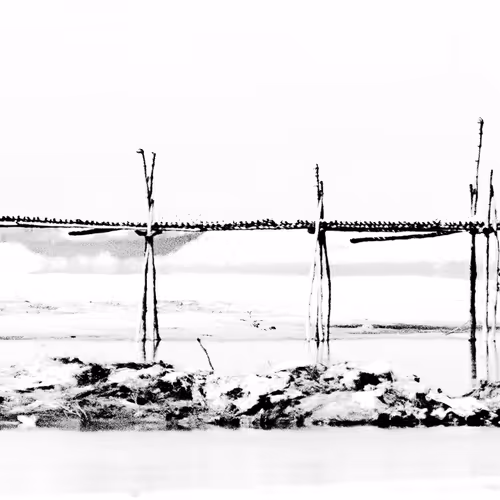 Bridging the River #3