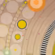 #231