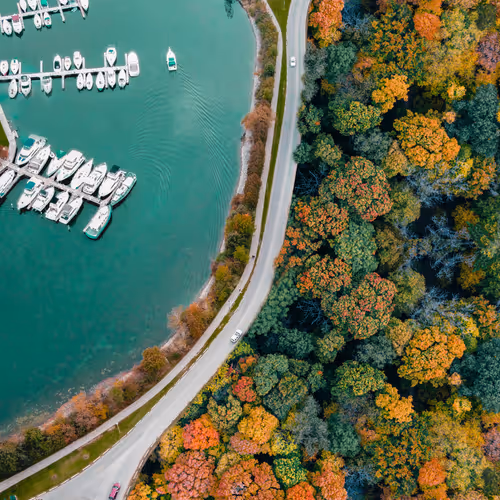 Autumn from Above #1188