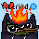 798