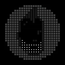 81