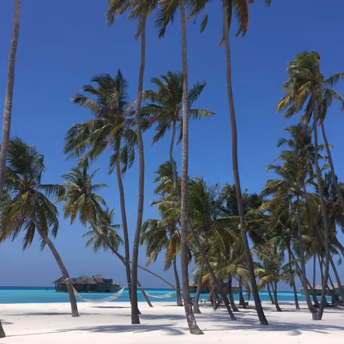 0xG Travel Series One, Photo Two