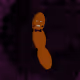 407