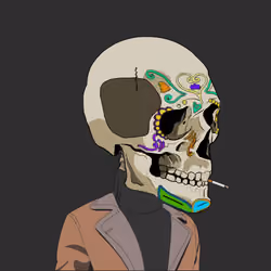 Super Skulls Ape #507