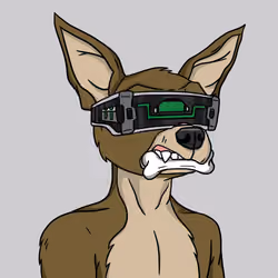 Dogzen #232