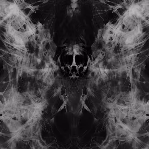 The Pareidolia Effect