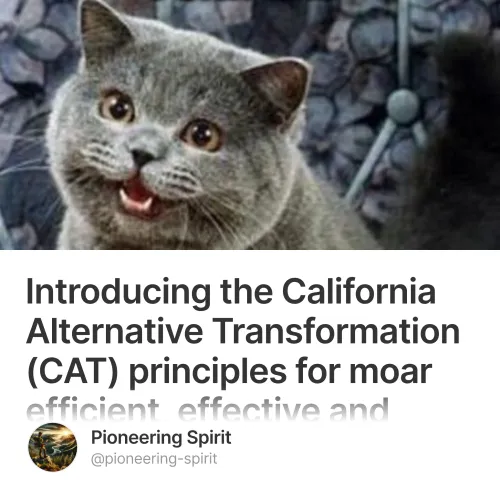 Introducing the California Alternative Transformation (CAT) principles for moar efficient, effective and imaginative government operations v0.1  #0