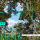 Friends (feat. Linney)