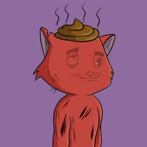 Shitcatcollection