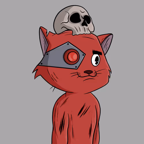 Shitcatcollection