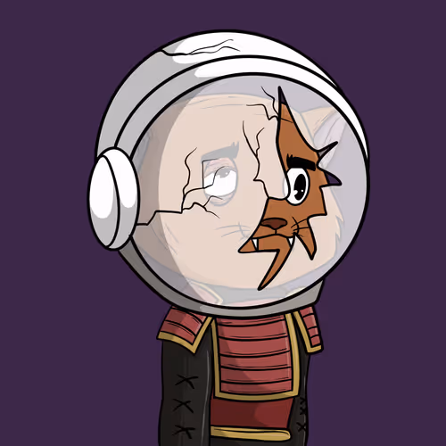 Shitcatcollection