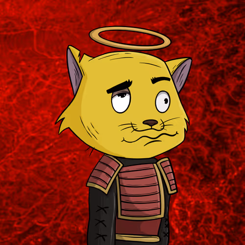 Shitcatcollection