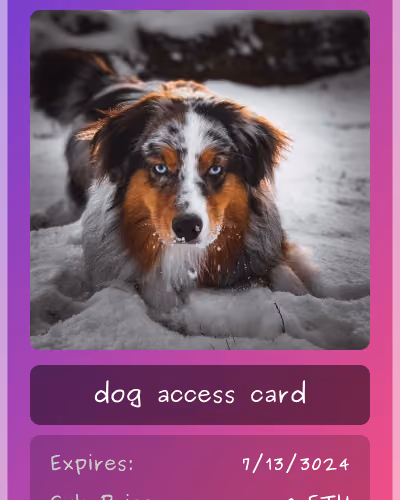 dog club card