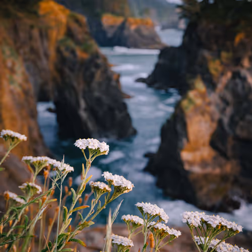 Natural Bridges in Oregon #12