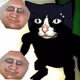 73