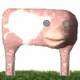 294
