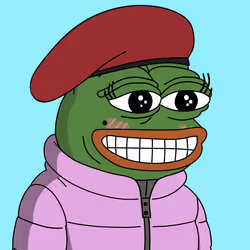 231