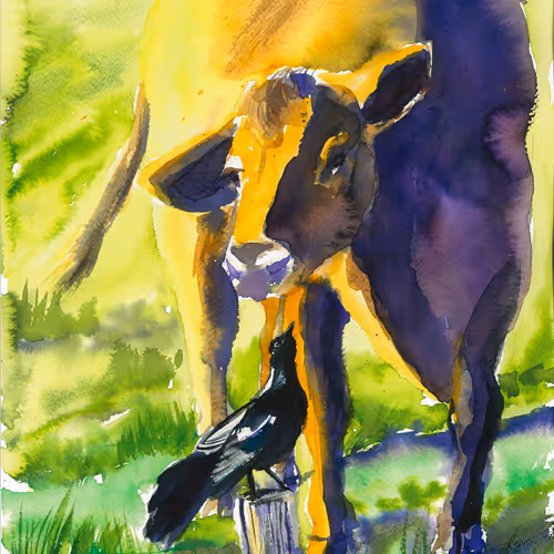 Cow And Crow