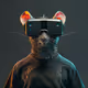 462