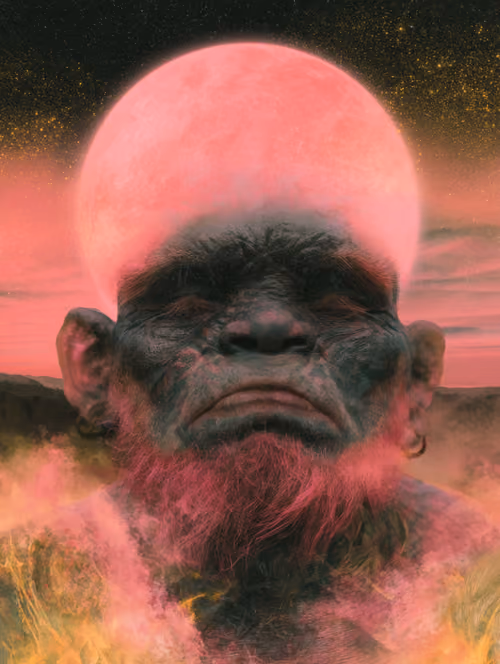 Pink Moon Elder