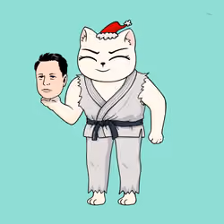 Wao Cat #8719