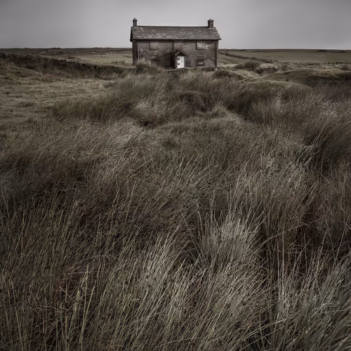 Rodeo Posts 6153