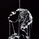 Liquid Memory