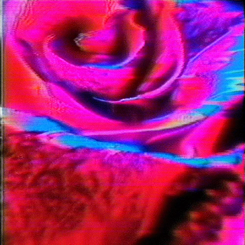 Item #22 Media