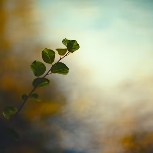 Whispers Of Nature 10