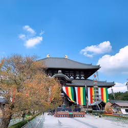 123