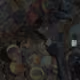 1000330095