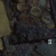 1000460091