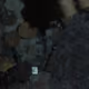 1000490039