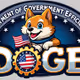 DOGE OF AMERICA