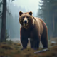 bear